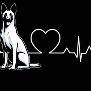 Belgian Malinois Dog Sticker by Katie