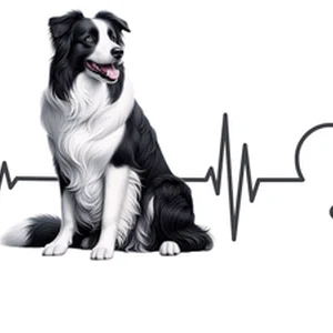 Border Collie Dog Sticker by Katie