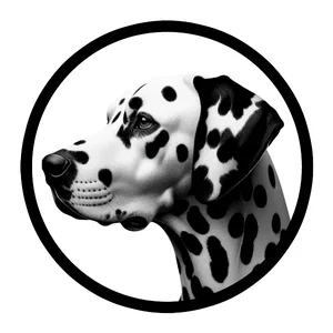 Dalmatian Premium Dog Sticker by Nikko