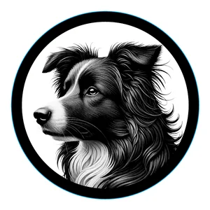 Border Collie Premium Dog Sticker by Unknown