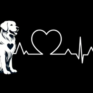 Boston Terrier Premium Dog Sticker by Unknown