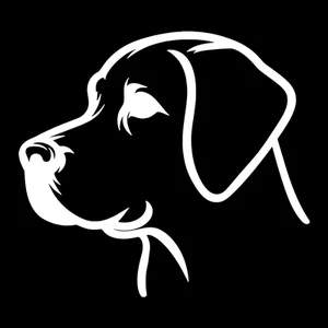 Border Collie Premium Dog Sticker by Unknown