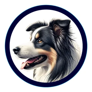 Border Collie Premium Dog Sticker by Unknown