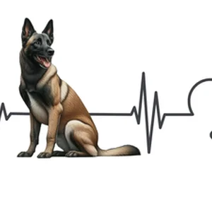 Belgian Malinois Premium Dog Sticker by Unknown