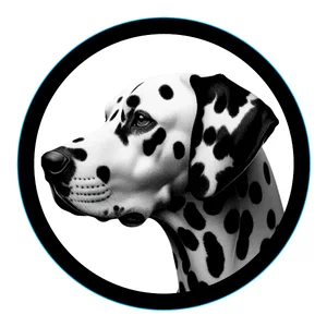 Dalmatian Premium Dog Sticker by Unknown